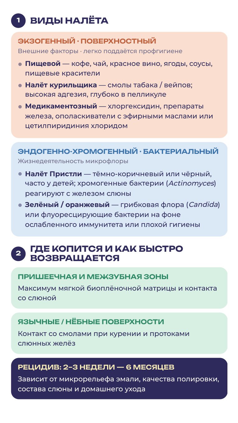 Шпаргалка, которую собрала я